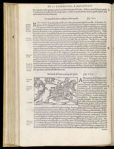 Text Page 231 (illustration and text)