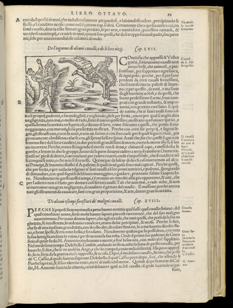 Text Page 234 (illustration and text)
