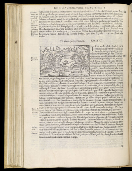 Text Page 235 (illustration and text)