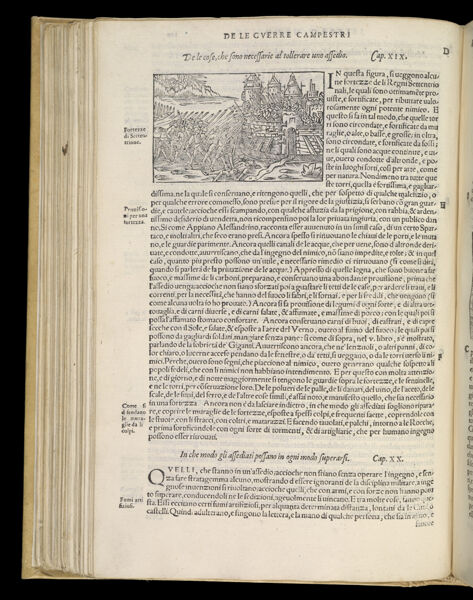 Text Page 264 (illustration and text)