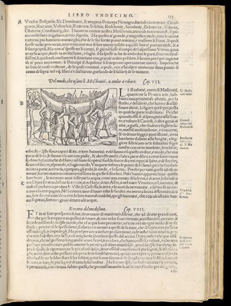 Text Page 311 (illustration and text)