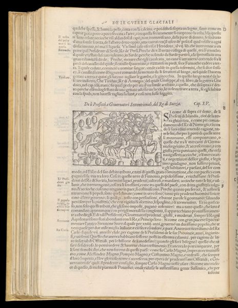 Text Page 316 (illustration and text)