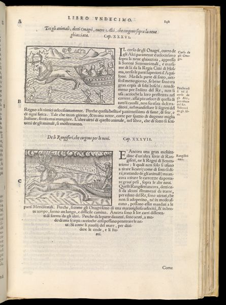 Text Page 329 (illustrations and text)