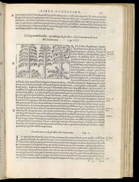 Text Page 341 (illustration and text)