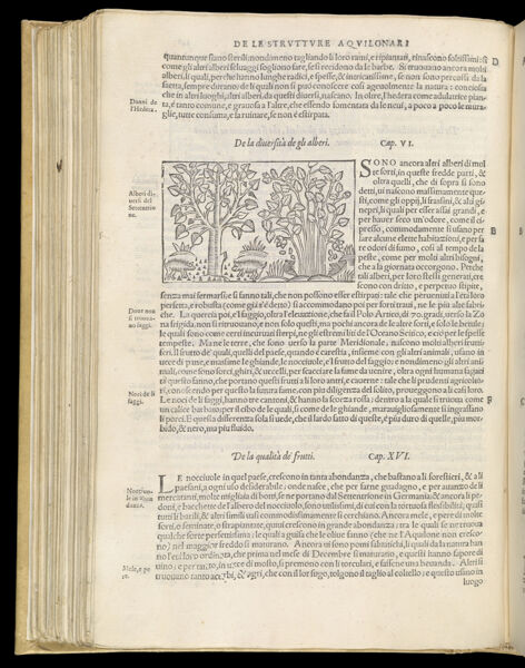 Text Page 342 (illustration and text)