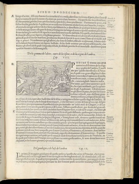 Text Page 343 (illustration and text)