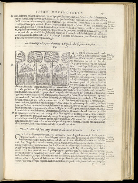 Text Page 355 (illustration and text)