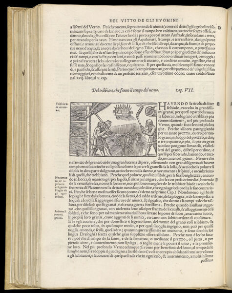 Text Page 356 (illustration and text)