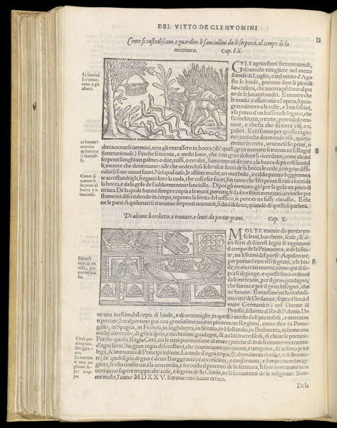 Text Page 358 (illustrations and text)