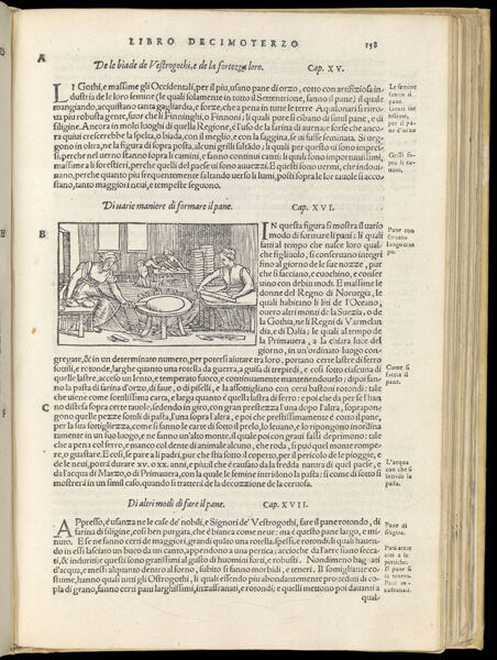 Text Page 361 (illustration and text)