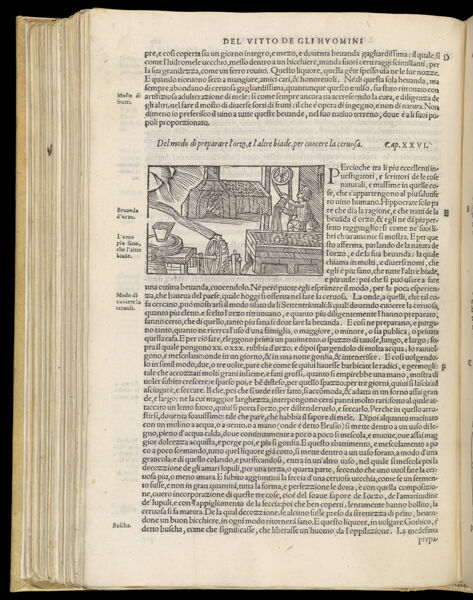Text Page 366 (illustration and text)