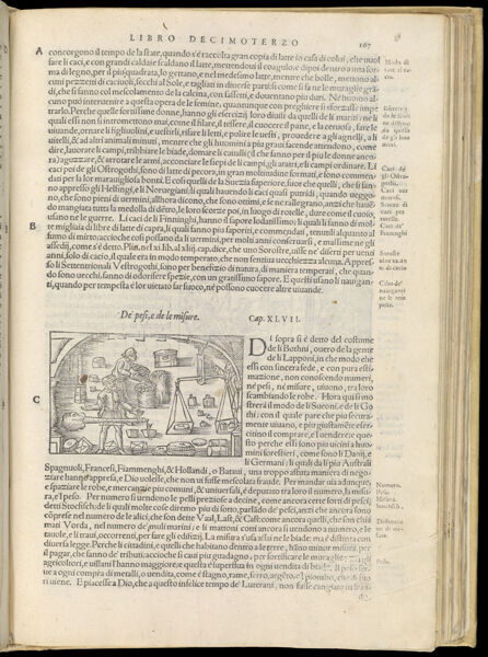 Text Page 379 (illustration and text)
