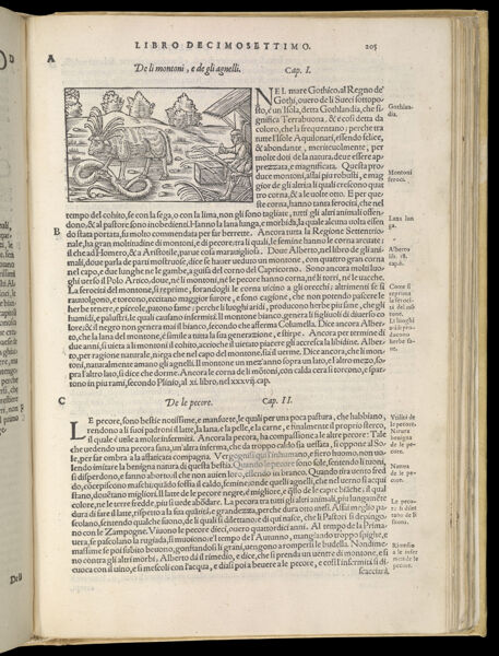 Text Page 455 (illustration and text)