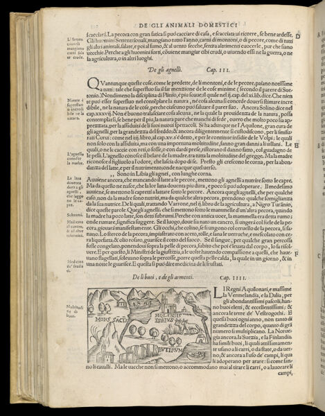 Text Page 456 (illustration and text)