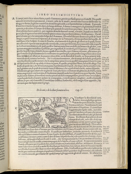Text Page 457 (illustration and text)