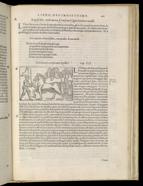 Text Page 461 (illustration and text)