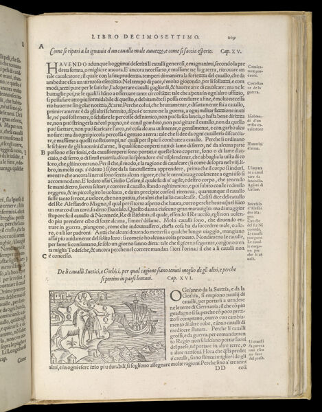 Text Page 463 (illustration and text)