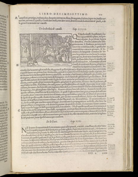 Text Page 465 (illustration and text)