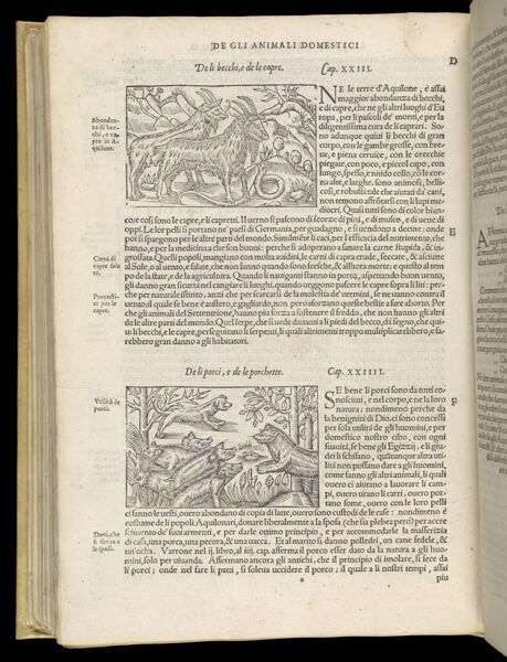Text Page 468 (illustrations and text)