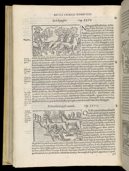Text Page 470 (illustrations and text)