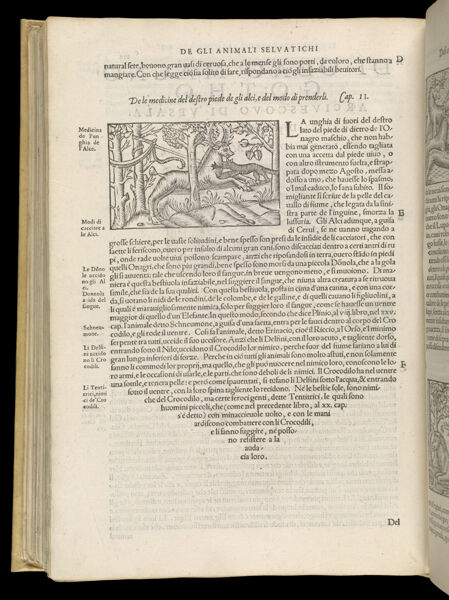 Text Page 474 (illustration and text)