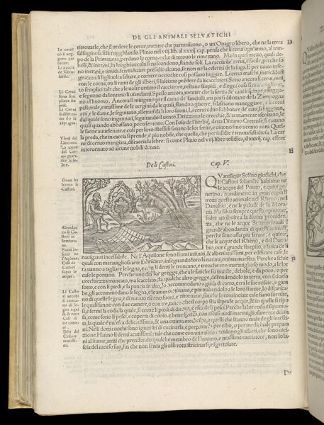 Text Page 476 (illustration and text)