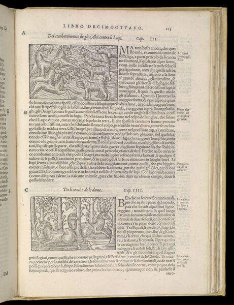 Text Page 475 (illustrations and text)