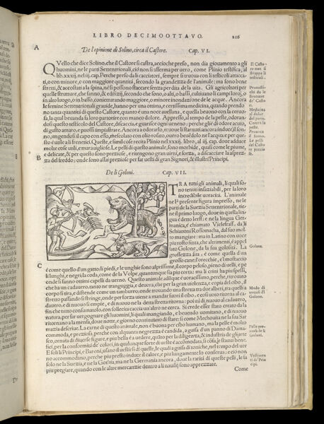 Text Page 477 (illustration and text)