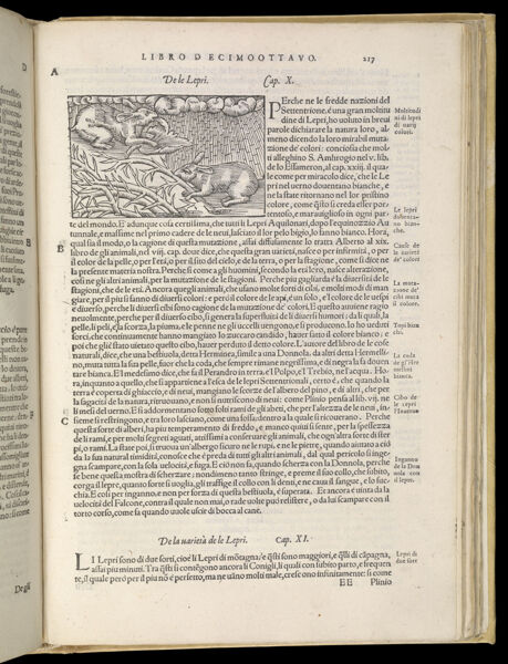 Text Page 479 (illustration and text)