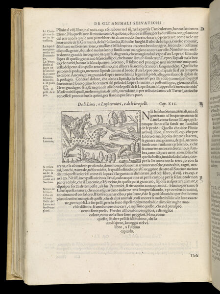 Text Page 480 (illustration and text)