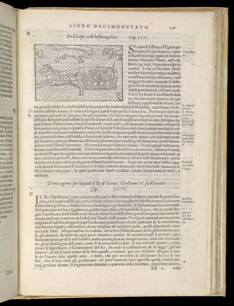 Text Page 481 (illustration and text)