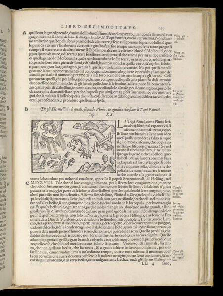 Text Page 485 (illustration and text)