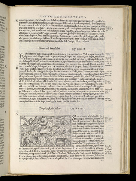 Text Page 487 (illustration and text)