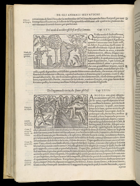 Text Page 488 (illustrations and text)