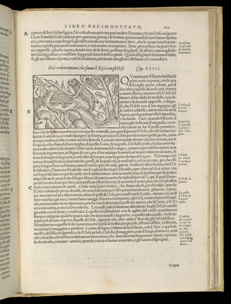 Text Page 489 (illustration and text)