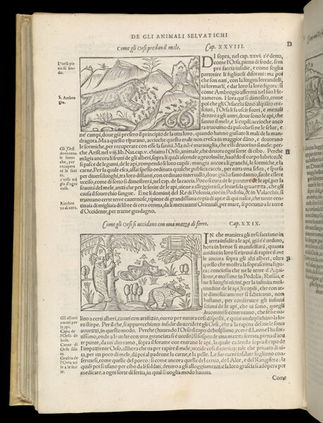 Text Page 490 (illustrations and text)