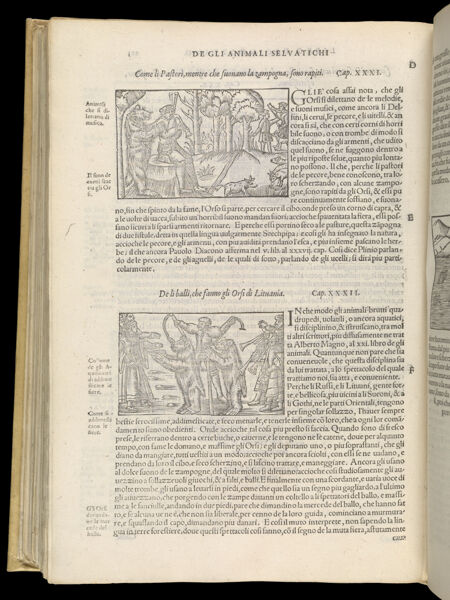 Text Page 492 (illustrations and text)
