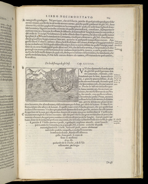 Text Page 493 (illustration and text)
