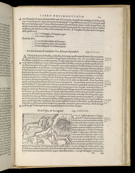 Text Page 495 (illustration and text)