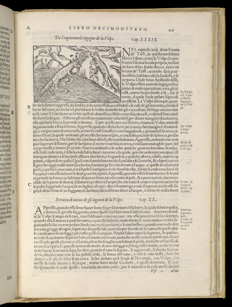 Text Page 497 (illustration and text)