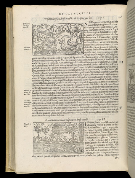 Text Page 504 (illustrations and text)