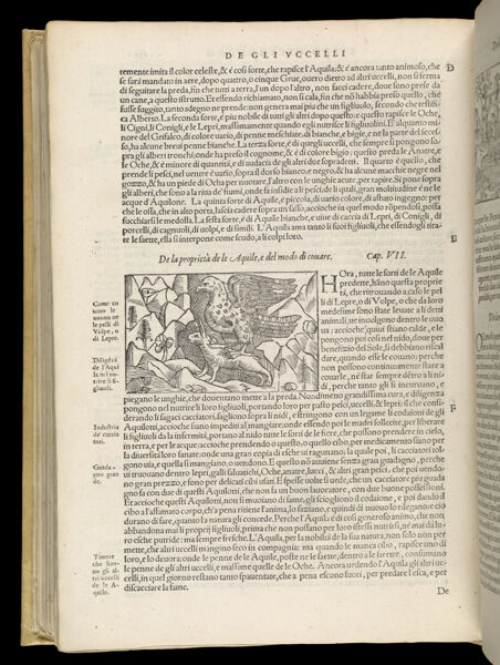 Text Page 508 (illustration and text)