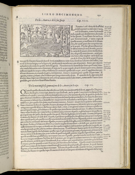 Text Page 509 (illustration and text)