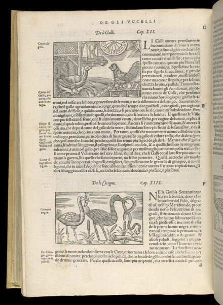 Text Page 512 (illustrations and text)
