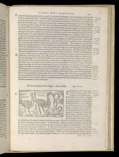 Text Page 513 (illustration and text)