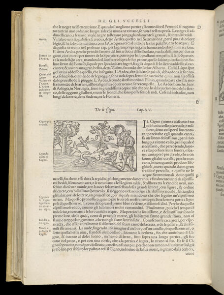Text Page 514 (illustration and text)