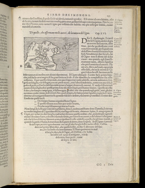 Text Page 515 (illustration and text)