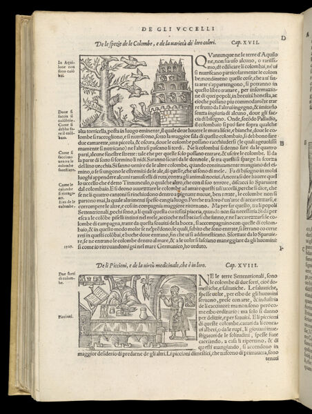 Text Page 516 (illustrations and text)