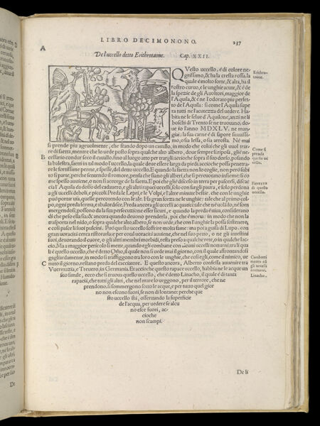 Text Page 519 (illustration and text)