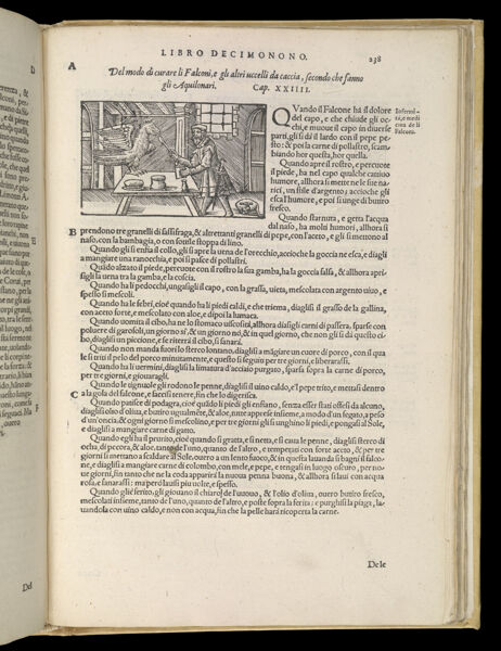 Text Page 521 (illustration and text)